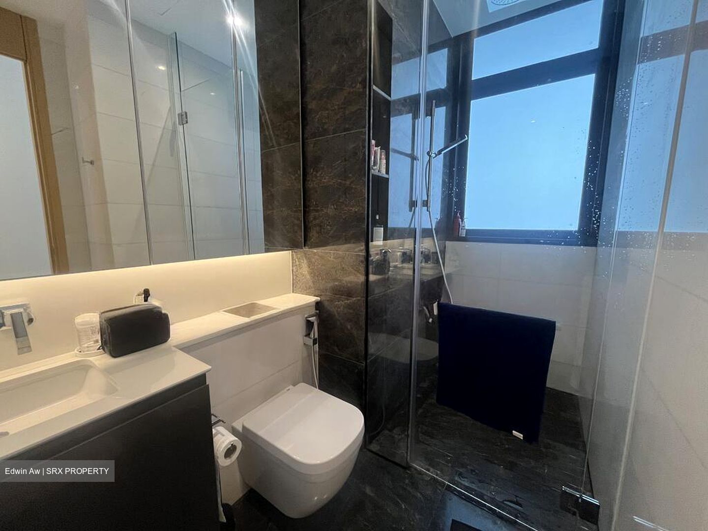 Cairnhill 16 (D9), Apartment #509990301